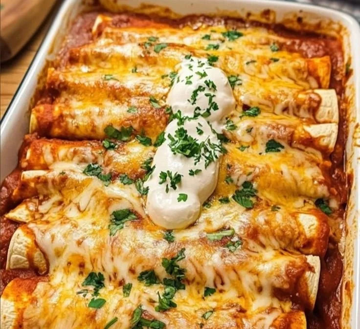 Plate of delicious chicken enchiladas with cheese and salsa garnished with cilantro
